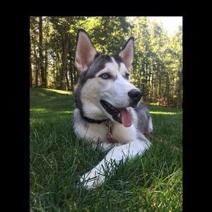 Meet your Posher, Spencer